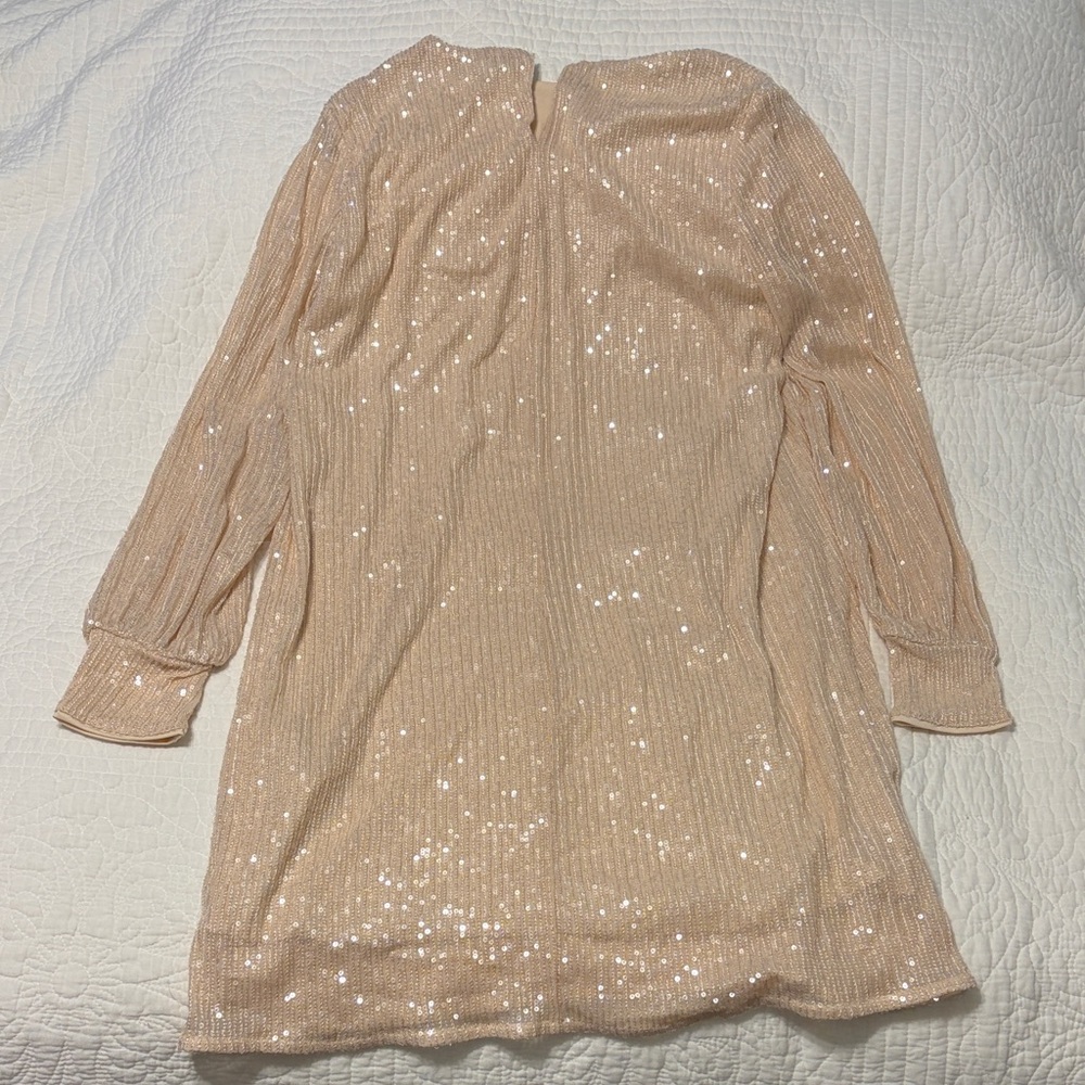 H&M Sparkling Beige Sequin Top